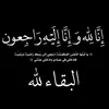 ba13_al17