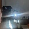 alvin_353