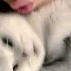 scwermm