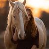 Heartland Horse Refugee