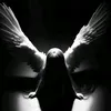 angel30088907