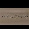 user9977881731717