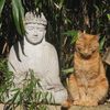 danilko_buddist