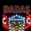 25.dada28