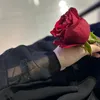 ban.1293