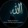 user5547340686195