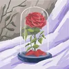user943904083