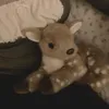 ❦
