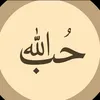 user3042690005536