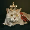 meow_moments100