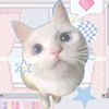user868504988