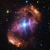 omniobserver
