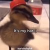 travis_playzzz