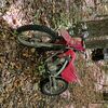 thats1yz250