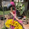 hippychick677