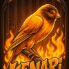 Kicuk canary