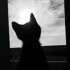 agnes.lovey1