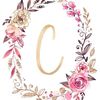 cait3410