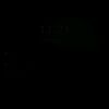 loow_dani
