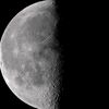 darkmoonlut