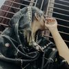 nathasha4468