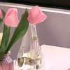 nhigia50