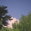 sheikhoye86