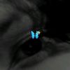 adham.mohammed594