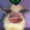 kienmy84
