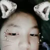 nthin446