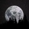 luno.lyrics