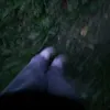 bingo_died