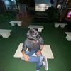 rendy.cahyo.ren