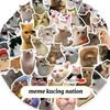 catmemeseru