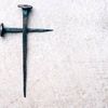 cole15881