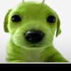 user1810444561265