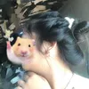 .iw.btramm