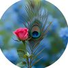 aadil7157