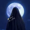 zo_z934