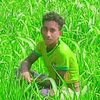 hassan.haedar63