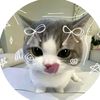 or_orthi