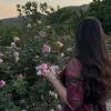 naz.bashdar