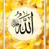 kura_malik0313