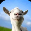 adrianofilho595