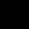 dark1v11