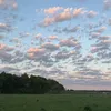 di_naxyi84