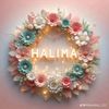 haaaaaalima4