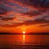 dailysunsetvideos
