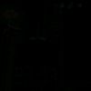 user051560135