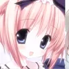nya_n024